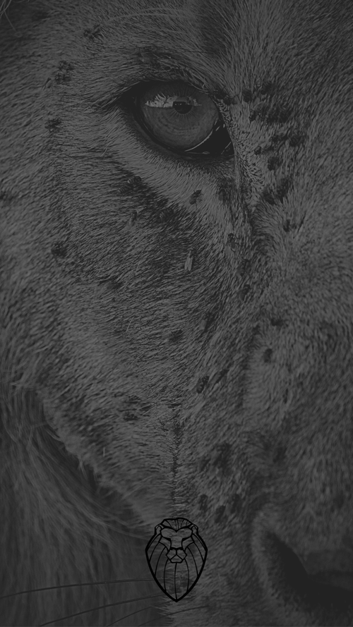 Undaunted.Life phone wallpaper 2