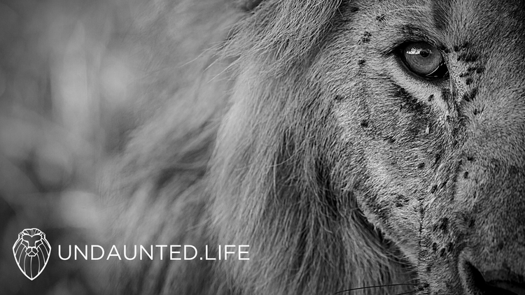 Undaunted.Life desktop wallpaper 5