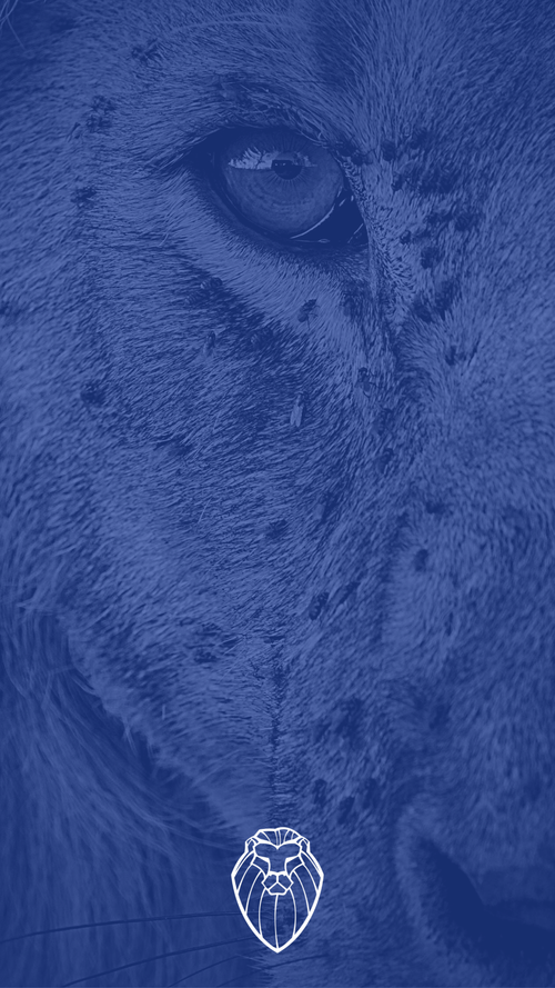 Undaunted.Life phone wallpaper 5